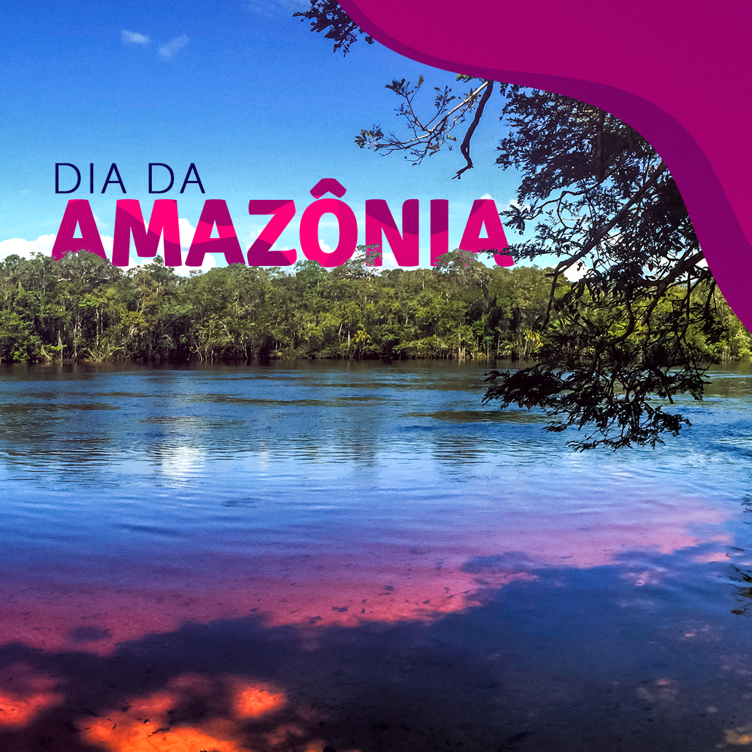 Livelo banner and social